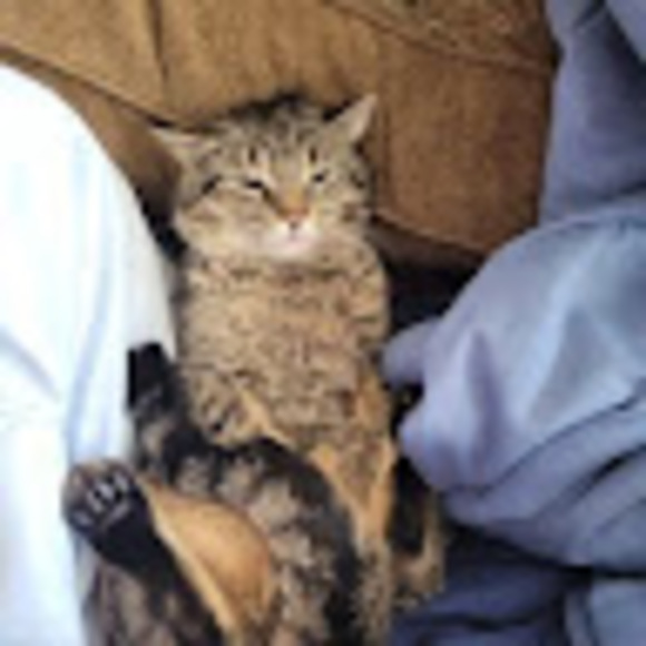 Meet your Posher, Rene - Picture 1 of 1